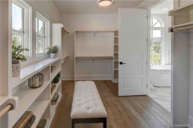 spacious closet featuring hardwood / wood-style floors