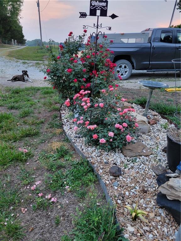 view of yard at dusk