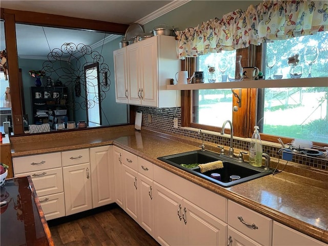 kitchen featuring sink, tasteful backsplash, dark hardwood / wood-style flooring, white cabinets, and ornamental molding