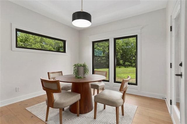 dining space featuring a healthy amount of sunlight and light wood-type flooring