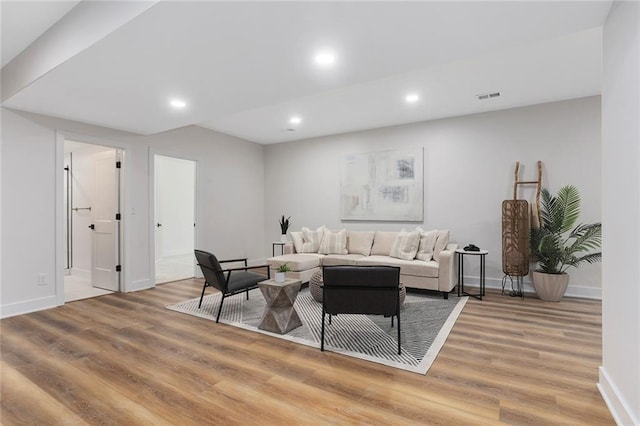 living room featuring wood-type flooring