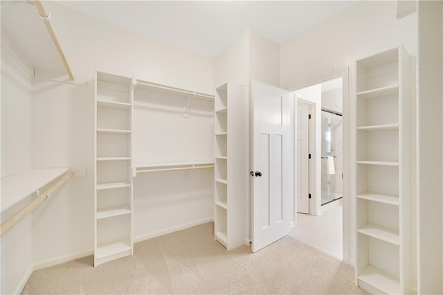 walk in closet featuring carpet flooring