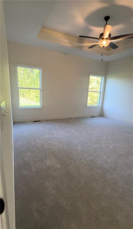 empty room featuring a tray ceiling, carpet flooring, and a wealth of natural light