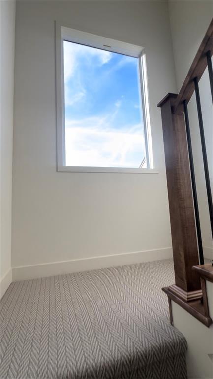 2143 Crooked Creek Dr, Kearney, MO 64060 - unfurnished bedroom with carpet flooring, multiple windows, and baseboards