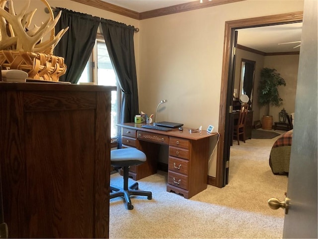 carpeted office featuring ornamental molding