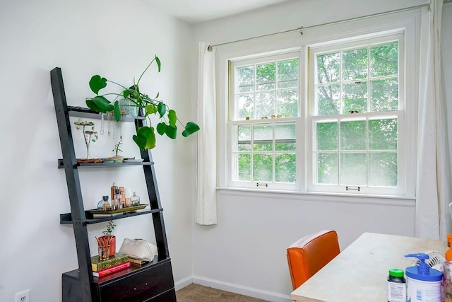 doorway to outside with carpet