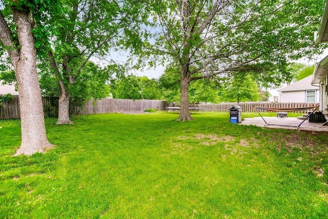 view of yard with a patio