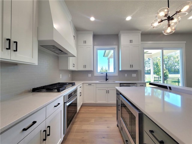 kitchen featuring custom exhaust hood, appliances with stainless steel finishes, white cabinetry, and a wealth of natural light