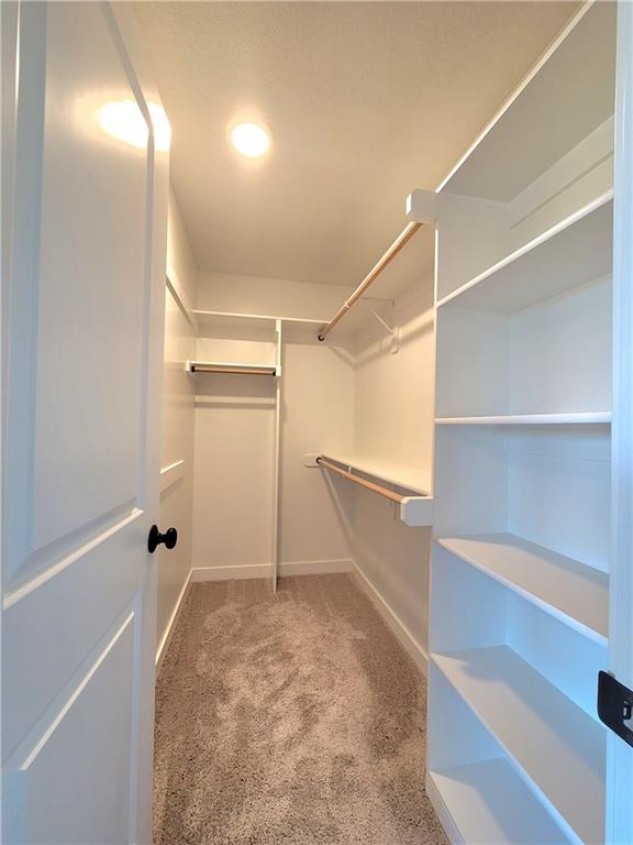 spacious closet featuring light carpet