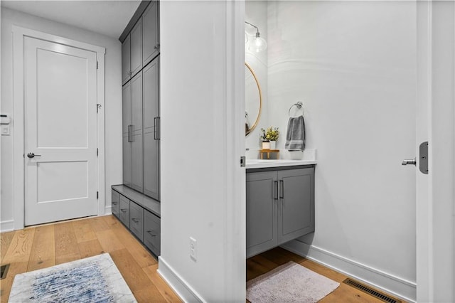 bathroom featuring wood-type flooring and vanity