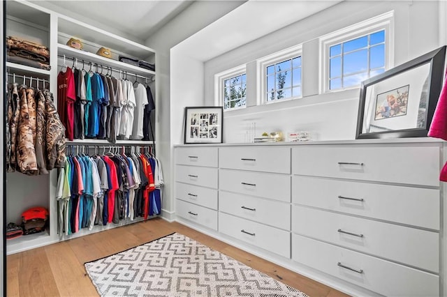 walk in closet featuring light hardwood / wood-style flooring