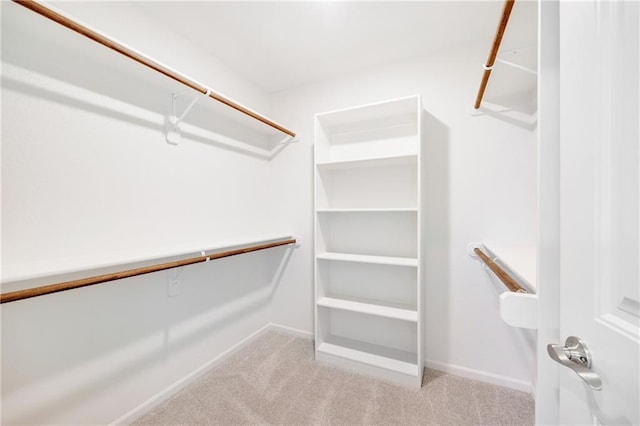 spacious closet with light carpet