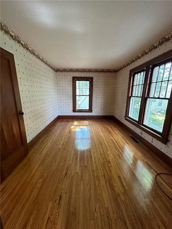 empty room featuring hardwood / wood-style flooring and plenty of natural light