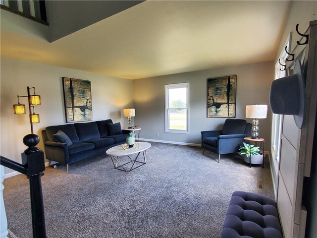 501 Meadow Ln, Fort Scott, KS 66701 - view of carpeted living room