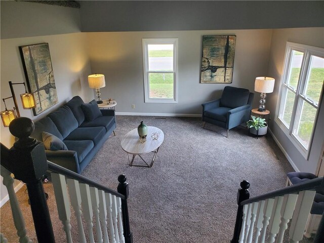 501 Meadow Ln, Fort Scott, KS 66701 - living room with carpet and a wealth of natural light