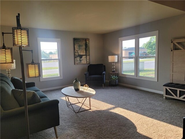 501 Meadow Ln, Fort Scott, KS 66701 - carpeted living room with a wealth of natural light