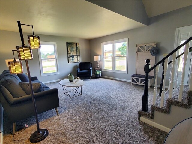 501 Meadow Ln, Fort Scott, KS 66701 - living room featuring carpet flooring