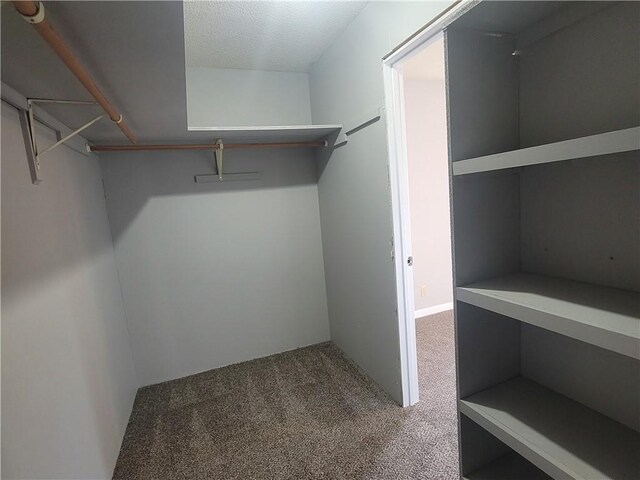 501 Meadow Ln, Fort Scott, KS 66701 - walk in closet featuring carpet flooring