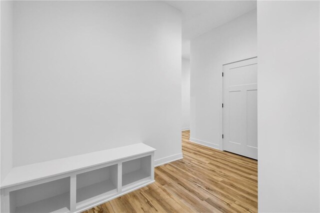 mudroom with light wood-type flooring