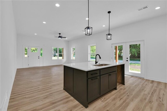 kitchen with sink, plenty of natural light, an island with sink, and light wood-type flooring