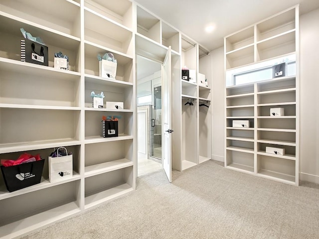 8013 Millridge St, Shawnee, KS 66220 - spacious closet with carpet