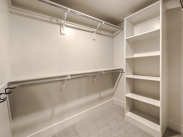 8013 Millridge St, Shawnee, KS 66220 - spacious closet with carpet floors