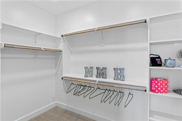 spacious closet featuring carpet