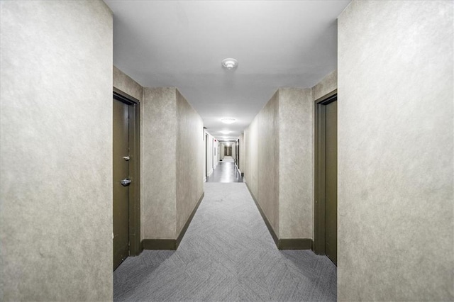 hall featuring carpet flooring