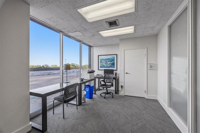 carpeted office featuring a wall of windows