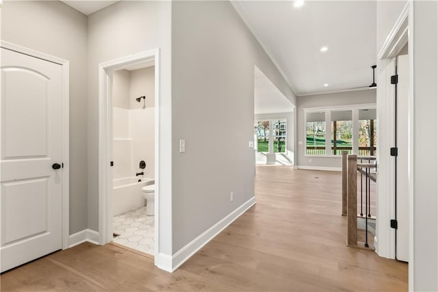 hall featuring light hardwood / wood-style floors and crown molding