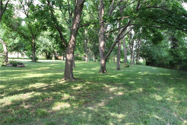 2117 S 18th St, Saint Joseph, MO 64503 - photo 4