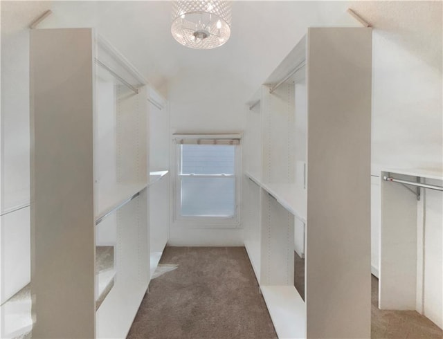 spacious closet featuring a chandelier and dark colored carpet