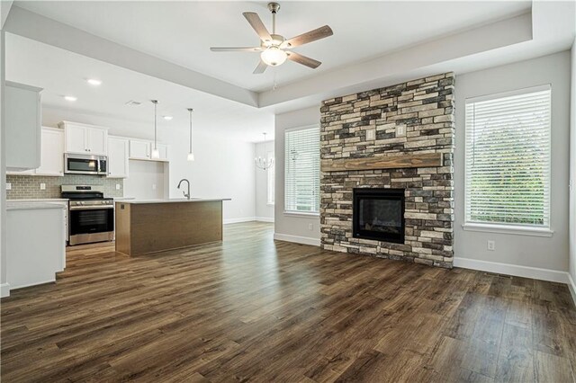 27017 E Olive Dr, Lees Summit, MO 64086 - kitchen with stainless steel appliances, open floor plan, dark wood-style flooring, a ceiling fan, and a sink