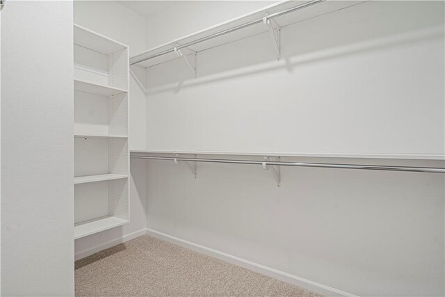 27017 E Olive Dr, Lees Summit, MO 64086 - walk in closet with carpet flooring
