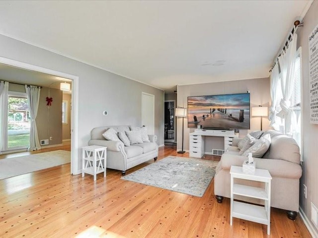 living room featuring hardwood / wood-style flooring