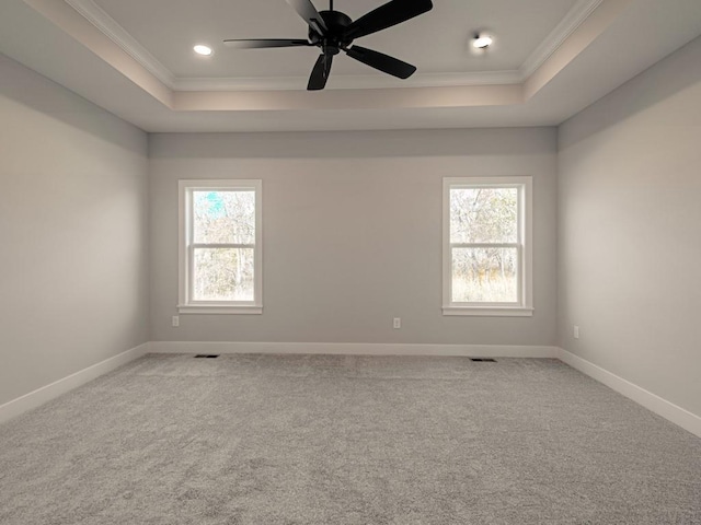 carpeted spare room with crown molding, a healthy amount of sunlight, and a tray ceiling