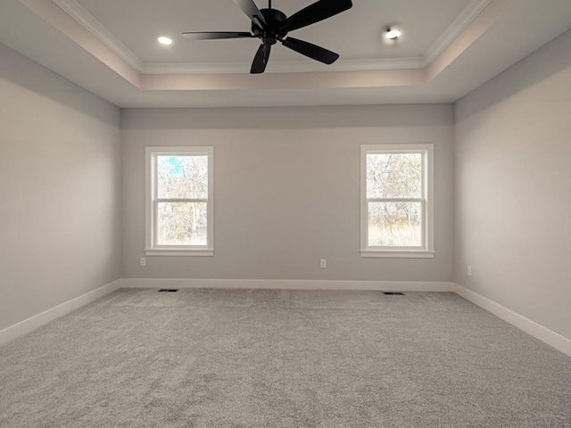 16430 NW 123rd St, Platte City, MO 64079 - carpeted empty room with crown molding, a wealth of natural light, and a raised ceiling
