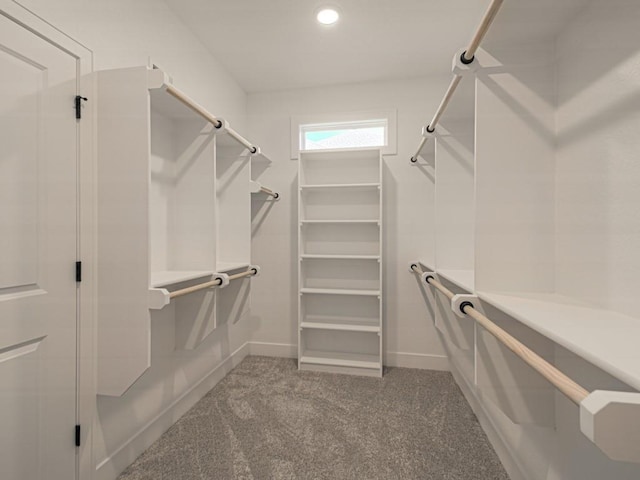 spacious closet with carpet