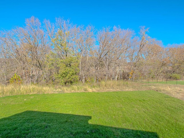 12435 Appaloosa St, Platte City, MO 64079 - view of green lawn