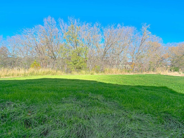 12435 Appaloosa St, Platte City, MO 64079 - view of yard