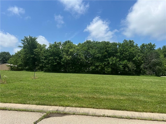 LOT105 Timber Ct, Helena MO, 64459 land for sale