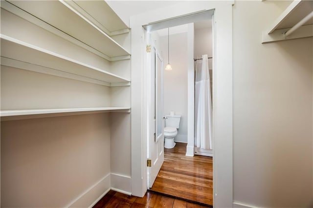 interior space with wood-type flooring and toilet