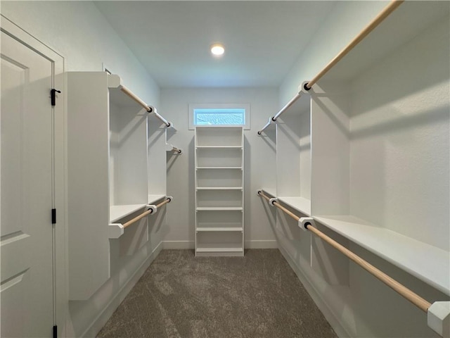 spacious closet with dark carpet