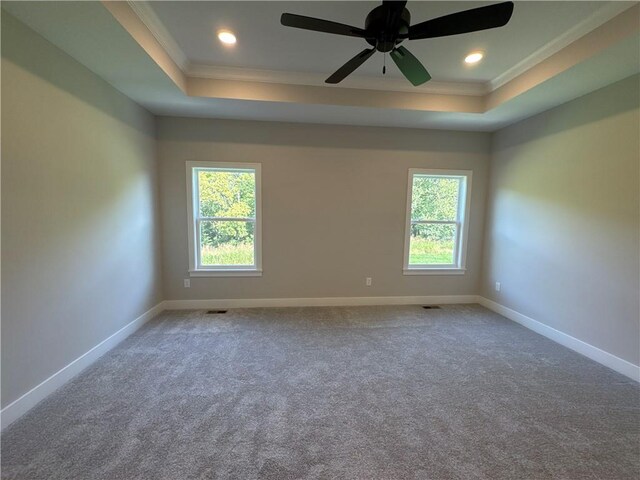 unfurnished room with ornamental molding, ceiling fan, a raised ceiling, and plenty of natural light