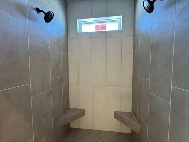 13503 NW Terrace Park Dr, Parkville, MO 64152 - full bath featuring a tile shower
