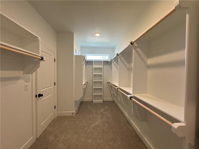 walk in closet featuring dark carpet