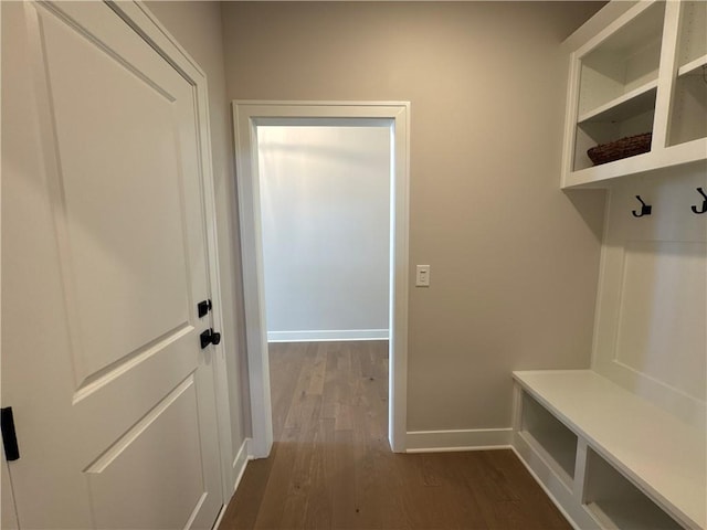 mudroom with dark wood-type flooring