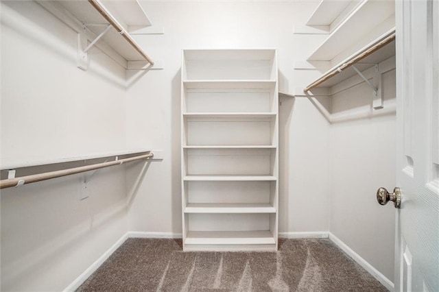 spacious closet with dark carpet