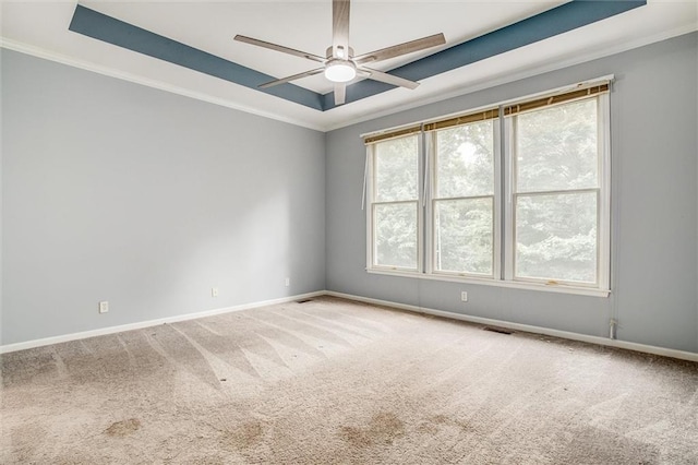 carpeted spare room featuring a raised ceiling, ceiling fan, and ornamental molding