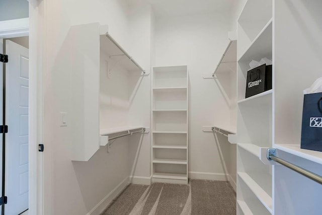 walk in closet with light carpet